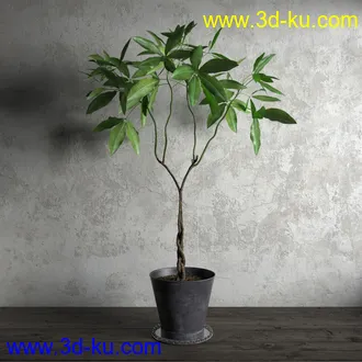 鲜花模型,花瓶,花盆,花樽,盆景,盆栽,模型,绿色植物,室内植物模型合集的图片18