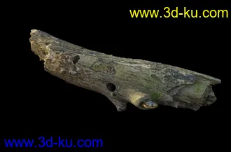 废木,木柴,腐朽的木头,断木,干木,枯木,烂木头,苔藓,青苔,树干,树枝,朽木,树叉,模型合集的图片