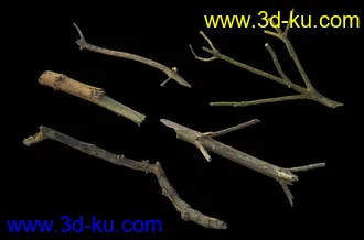 废木,木柴,腐朽的木头,断木,干木,枯木,烂木头,苔藓,青苔,树干,树枝,朽木,树叉,模型合集的图片