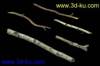 废木,木柴,腐朽的木头,断木,干木,枯木,烂木头,苔藓,青苔,树干,树枝,朽木,树叉,模型合集的图片