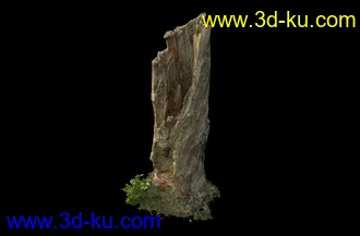 废木,木柴,腐朽的木头,断木,干木,枯木,烂木头,苔藓,青苔,树干,树枝,朽木,树叉,模型合集的图片