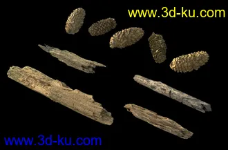 废木,木柴,腐朽的木头,断木,干木,枯木,烂木头,苔藓,青苔,树干,树枝,朽木,树叉,模型合集的图片