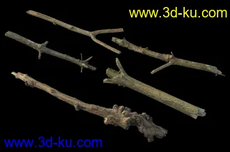 废木,木柴,腐朽的木头,断木,干木,枯木,烂木头,苔藓,青苔,树干,树枝,朽木,树叉,模型合集的图片