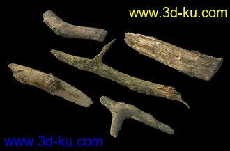 废木,木柴,腐朽的木头,断木,干木,枯木,烂木头,苔藓,青苔,树干,树枝,朽木,树叉,模型合集的图片