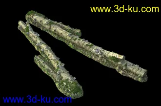 废木,木柴,腐朽的木头,断木,干木,枯木,烂木头,苔藓,青苔,树干,树枝,朽木,树叉,模型合集的图片