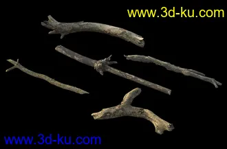 废木,木柴,腐朽的木头,断木,干木,枯木,烂木头,苔藓,青苔,树干,树枝,朽木,树叉,模型合集的图片