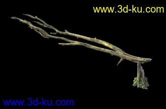 废木,木柴,腐朽的木头,断木,干木,枯木,烂木头,苔藓,青苔,树干,树枝,朽木,树叉,模型合集的图片