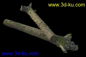 废木,木柴,腐朽的木头,断木,干木,枯木,烂木头,苔藓,青苔,树干,树枝,朽木,树叉,模型合集的图片