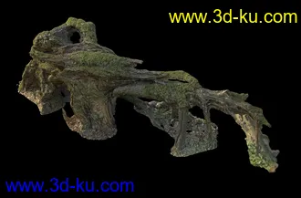 废木,木柴,腐朽的木头,断木,干木,枯木,烂木头,苔藓,青苔,树干,树枝,朽木,树叉,模型合集的图片14