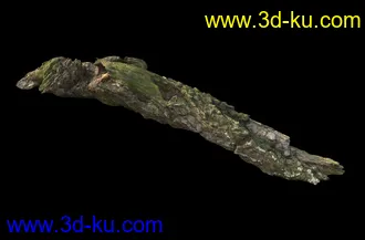 废木,木柴,腐朽的木头,断木,干木,枯木,烂木头,苔藓,青苔,树干,树枝,朽木,树叉,模型合集的图片15