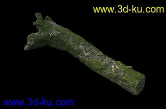 废木,木柴,腐朽的木头,断木,干木,枯木,烂木头,苔藓,青苔,树干,树枝,朽木,树叉,模型合集的图片17