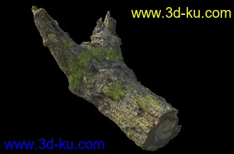 废木,木柴,腐朽的木头,断木,干木,枯木,烂木头,苔藓,青苔,树干,树枝,朽木,树叉,模型合集的图片19