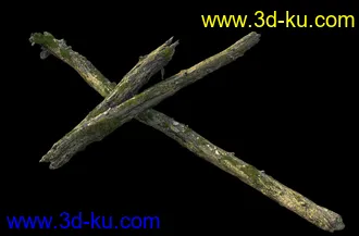 废木,木柴,腐朽的木头,断木,干木,枯木,烂木头,苔藓,青苔,树干,树枝,朽木,树叉,模型合集的图片22