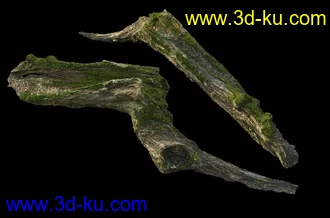 废木,木柴,腐朽的木头,断木,干木,枯木,烂木头,苔藓,青苔,树干,树枝,朽木,树叉,模型合集的图片23