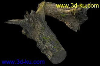 废木,木柴,腐朽的木头,断木,干木,枯木,烂木头,苔藓,青苔,树干,树枝,朽木,树叉,模型合集的图片26