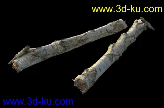 废木,木柴,腐朽的木头,断木,干木,枯木,烂木头,苔藓,青苔,树干,树枝,朽木,树叉,模型合集的图片28