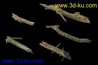 废木,木柴,腐朽的木头,断木,干木,枯木,烂木头,苔藓,青苔,树干,树枝,朽木,树叉,模型合集的图片30