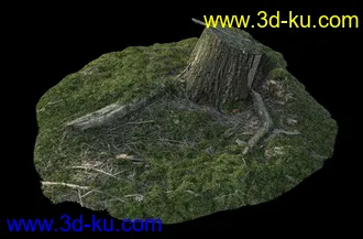 烂木头,烂树根,烂树头,烂树桩,腐朽的树桩,断木,苔藓,青苔,树菌,蘑菇,孢子,泥沙,模型合集的图片