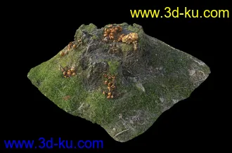烂木头,烂树根,烂树头,烂树桩,腐朽的树桩,断木,苔藓,青苔,树菌,蘑菇,孢子,泥沙,模型合集的图片