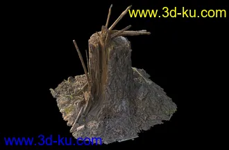烂木头,烂树根,烂树头,烂树桩,腐朽的树桩,断木,苔藓,青苔,树菌,蘑菇,孢子,泥沙,模型合集的图片