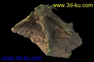烂木头,烂树根,烂树头,烂树桩,腐朽的树桩,断木,苔藓,青苔,树菌,蘑菇,孢子,泥沙,模型合集的图片