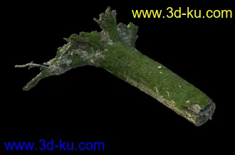 烂木头,烂树根,烂树头,烂树桩,腐朽的树桩,断木,苔藓,青苔,树菌,蘑菇,孢子,泥沙,模型合集的图片