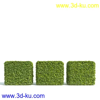 园林植物,园林园艺,草皮,树篱模型,绿篱模型,草堆,草墙,剪草,园林景观模型合集的图片