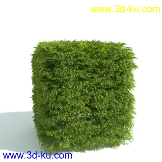 园林植物,园林园艺,草皮,树篱模型,绿篱模型,草堆,草墙,剪草,园林景观模型合集的图片