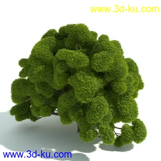 园林植物,园林园艺,草皮,树篱模型,绿篱模型,草堆,草墙,剪草,园林景观模型合集的图片