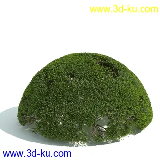 园林植物,园林园艺,草皮,树篱模型,绿篱模型,草堆,草墙,剪草,园林景观模型合集的图片