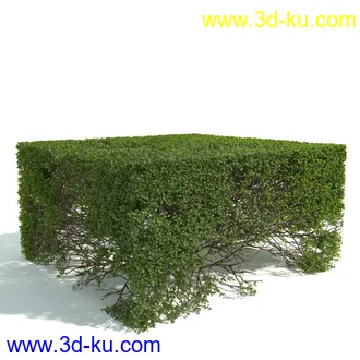 园林植物,园林园艺,草皮,树篱模型,绿篱模型,草堆,草墙,剪草,园林景观模型合集的图片