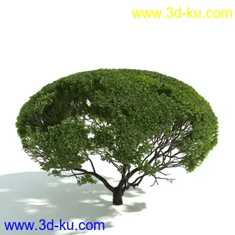 园林植物,园林园艺,草皮,树篱模型,绿篱模型,草堆,草墙,剪草,园林景观模型合集的图片