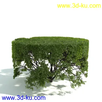 园林植物,园林园艺,草皮,树篱模型,绿篱模型,草堆,草墙,剪草,园林景观模型合集的图片