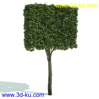 园林植物,园林园艺,草皮,树篱模型,绿篱模型,草堆,草墙,剪草,园林景观模型合集的图片