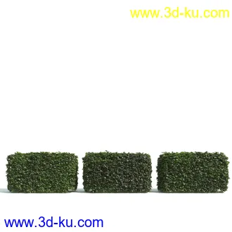 园林植物,园林园艺,草皮,树篱模型,绿篱模型,草堆,草墙,剪草,园林景观模型合集的图片