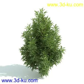 园林植物,园林园艺,草皮,树篱模型,绿篱模型,草堆,草墙,剪草,园林景观模型合集的图片