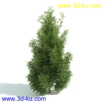 园林植物,园林园艺,草皮,树篱模型,绿篱模型,草堆,草墙,剪草,园林景观模型合集的图片