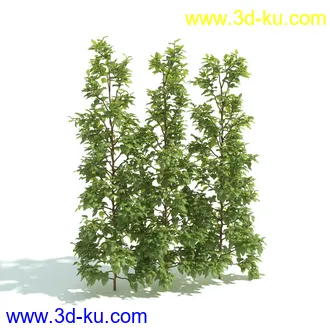 园林植物,园林园艺,草皮,树篱模型,绿篱模型,草堆,草墙,剪草,园林景观模型合集的图片