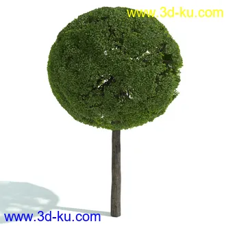 园林植物,园林园艺,草皮,树篱模型,绿篱模型,草堆,草墙,剪草,园林景观模型合集的图片