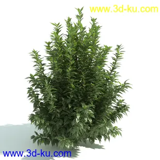 园林植物,园林园艺,草皮,树篱模型,绿篱模型,草堆,草墙,剪草,园林景观模型合集的图片