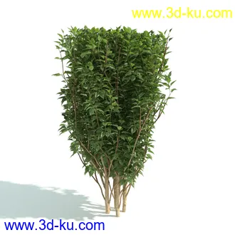 园林植物,园林园艺,草皮,树篱模型,绿篱模型,草堆,草墙,剪草,园林景观模型合集的图片