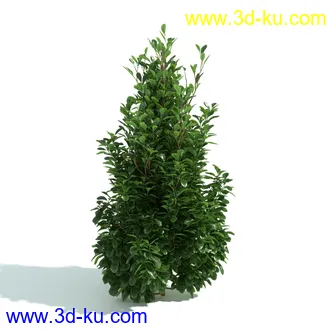 园林植物,园林园艺,草皮,树篱模型,绿篱模型,草堆,草墙,剪草,园林景观模型合集的图片