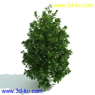 园林植物,园林园艺,草皮,树篱模型,绿篱模型,草堆,草墙,剪草,园林景观模型合集的图片