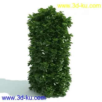 园林植物,园林园艺,草皮,树篱模型,绿篱模型,草堆,草墙,剪草,园林景观模型合集的图片