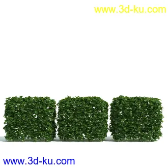 园林植物,园林园艺,草皮,树篱模型,绿篱模型,草堆,草墙,剪草,园林景观模型合集的图片