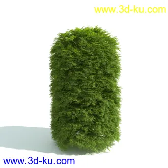 园林植物,园林园艺,草皮,树篱模型,绿篱模型,草堆,草墙,剪草,园林景观模型合集的图片