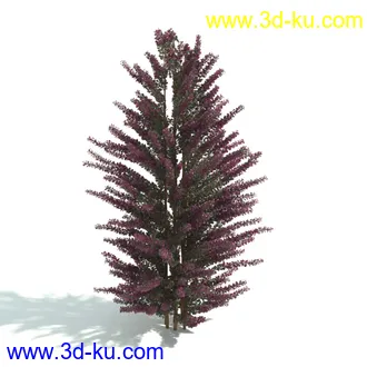 园林植物,园林园艺,草皮,树篱模型,绿篱模型,草堆,草墙,剪草,园林景观模型合集的图片