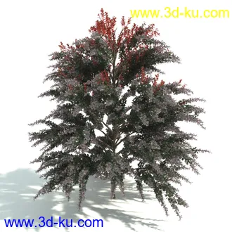 园林植物,园林园艺,草皮,树篱模型,绿篱模型,草堆,草墙,剪草,园林景观模型合集的图片