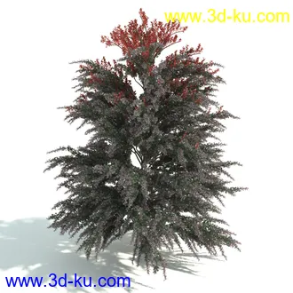 园林植物,园林园艺,草皮,树篱模型,绿篱模型,草堆,草墙,剪草,园林景观模型合集的图片