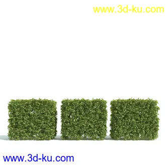 园林植物,园林园艺,草皮,树篱模型,绿篱模型,草堆,草墙,剪草,园林景观模型合集的图片